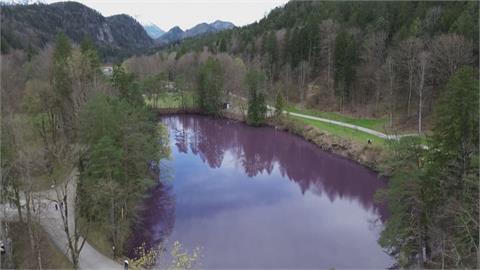 阿爾卑斯山上「紫色湖」再現　遊客一睹美景：非常值得一看