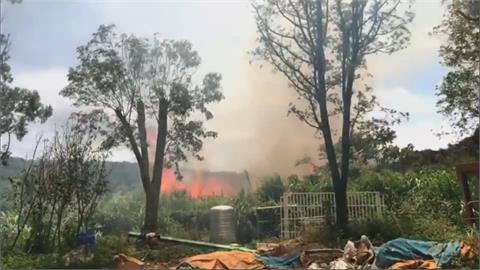 不法集團焚燒廢木材　火勢蔓延林業用地