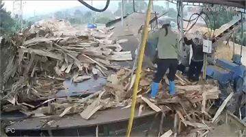 救不回！越南女工遭捲入木材機慘死　同事拉不回崩潰