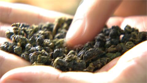 台灣茶商直接技轉！「越南茶」混充台灣茶　專家都難分辨