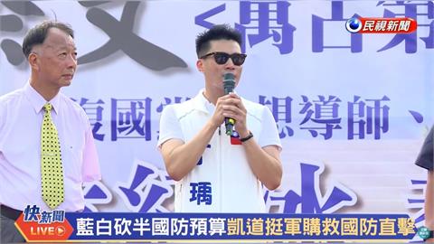 挺軍購! 袁紅冰現身凱道 砲轟國民黨"共產化"