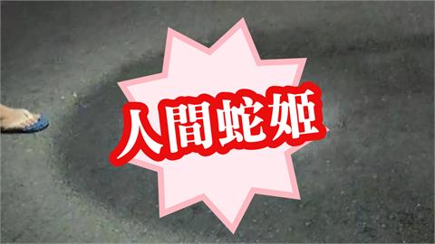 新竹公園驚見「巨蛇出沒」嚇壞小孩！「人間蛇姬」真實身分曝光竟是保育類動物