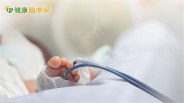 十分之一新生早產&nbsp;　醫：與晚婚育、人工生殖與壓力有關