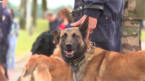 「間諜攝影機」也找得到！　警犬助攻調查現代科技犯罪