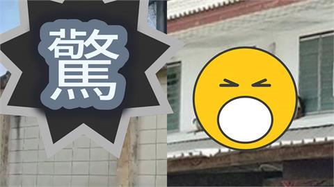 百隻猴子「越獄收容所」街頭亂竄！警方彈弓「正面對峙」驚險畫面曝...