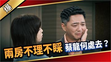 《愛的榮耀-EP230精采片段》兩房不理不睬，蔡龍何處去？