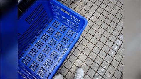 快新聞／大直典華遭鼠患！衛生局稽查「廚房有老鼠痕跡」限期改善