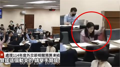 徐巧芯偷站綠邊遭抓包！解凍預算「默默舉手贊同」…王定宇笑喊：民主力量真偉大