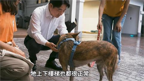 賴清德「認養愛犬斑斑」遭酸作秀！娘家突現身爆「總統反差私下面」：只能說…