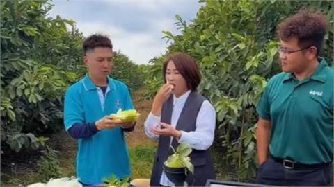 楊忠憲芭樂Threads意外走紅！周春米衝果園「朝聖本人」好吃原因曝光
