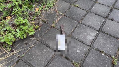 幼兒園「天降菜刀」險砸中老師 警帶回涉案8旬嬤