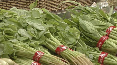 颱風重創產地！高麗菜1顆600元　農糧署釋出70噸蔬菜平穩菜價