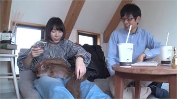 寵物咖啡廳風靡日本！療癒「迷你豬」陪你吃點心
