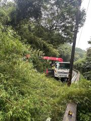 龜山路樹倒塌造成交通中斷　員警設立管制提醒改道