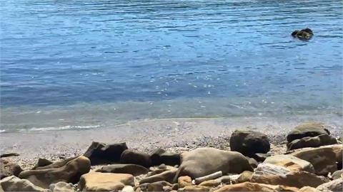 疑漁船炸魚? 潛水客赴龍洞灣潛水 發現大片死魚屍體