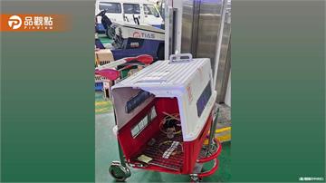 桃園機場驚魂!邊境牧羊犬大鬧停機坪 地勤追逐2小時