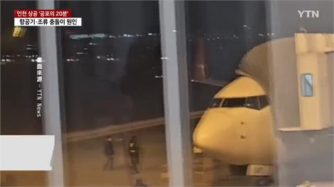 南韓「德威航空」班機降落冒出火花　引擎「吸入鳥類」驚傳爆炸聲