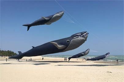 新竹風箏節9月2日、3日登場　全球最大「鯨魚風箏」等你看