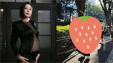 劉品言挺6個月孕肚飛日本！旅伴按快門大翻車「真實模樣流出」網笑：為什麼…