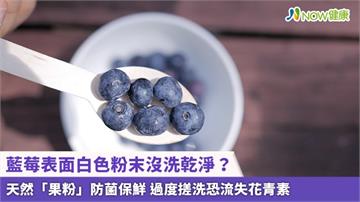 藍莓表面白色粉末沒洗乾淨？天然「果粉」防菌保鮮 過度搓洗恐流失花青素