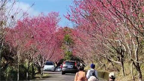 小孟老師運勢／把握假期最後「感情升溫時機」！專家點名「這星座」表白絕佳時刻來臨