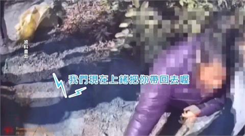 芭樂產量大減價格飆高！產地頻傳「芭樂竊案」
