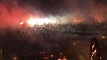 加州野火燎原！20萬人撤離、全州進入緊急狀態