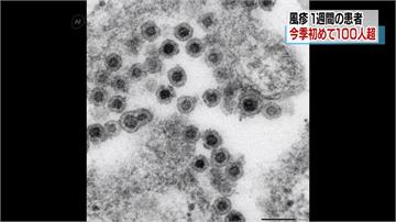 創新高！2018年日本麻疹患者直逼500人