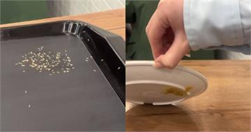 新北永和「世界豆漿大王」驚見托盤長大量蛆　消費者超崩潰：乾嘔一天