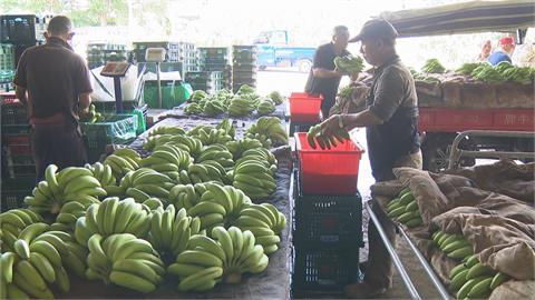 香蕉王國美名遠播　旗山農會開發香蕉各式吃法