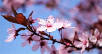 2026第一波水逆來了！12星座本周運勢出爐　獅子職場避免太強勢