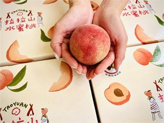 拉拉山水蜜桃滯銷「8顆150元」急售？桃園農業局：勿信假消息