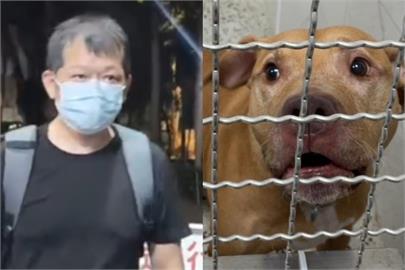 快新聞／「芝麻街」母公司遭爆中資　咬人比特犬「Lucky」飼主也涉案