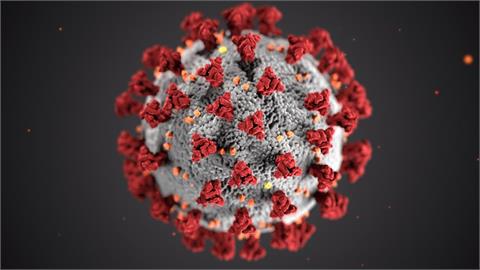 日本研究：曾感染原始病毒　對變異病毒也有抗體
