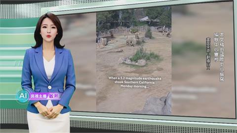 敏熙報氣象／加州強震！　動物園非洲象圍成「警戒圈」　集體護幼象