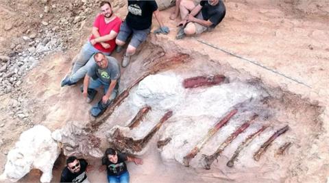 葡萄牙民宅後院暗藏寶藏？傳挖出歐洲有史以來最大恐龍化石