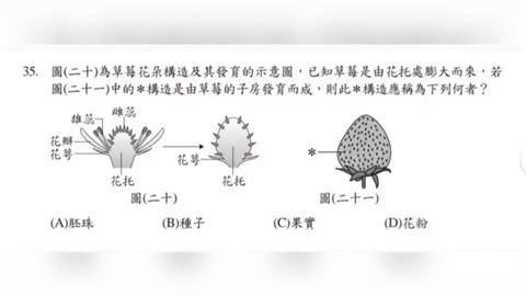 草莓表面「小芝麻」不是種子　考生秒答會考公布解答全崩潰