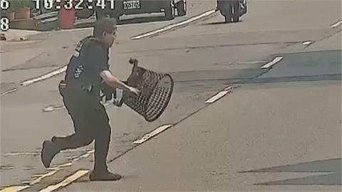 高雄調皮紅貴賓路上亂竄　警方持塑膠籃飛撲成功抓捕