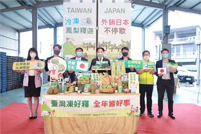 拓展外銷通路　台灣2萬顆冷凍鳳梨釋迦運往日本神戶、橫濱
