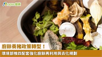 廚餘養豬政策轉型！ 環境部推四配套強化廚餘再利用與去化規劃