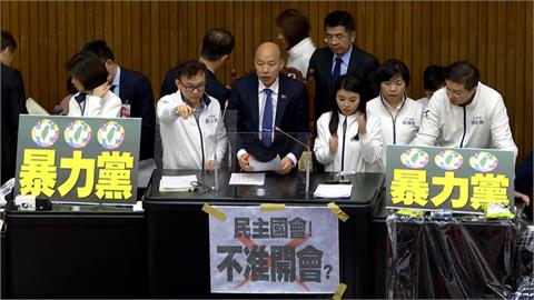 國民黨強闖三法恐衝擊社會　苗博雅憂立院成「憲政怪獸」