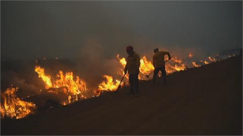 燒毀近1/4個台灣！阿根廷野火危及濕地生態