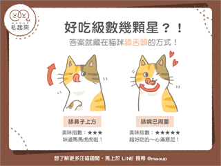【汪喵餵養知識】好吃級數幾顆星？答案藏在貓咪舔舌頭方式！