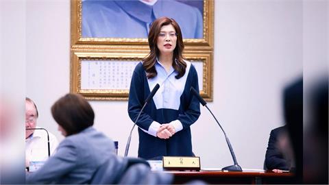 鄭麗文力推！「黃復興」升級委員會　這大咖兼任主委