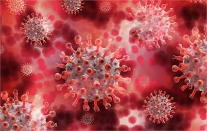 猴痘疫情擴散！國內已洽談天花第三代疫苗　疾管署曝接種規劃