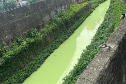 快新聞／噁！新北中和出現「抹茶色溪水」　環保局追汙染元兇