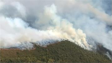 澳洲南端小島野火肆虐 燒掉2.2億台幣救災