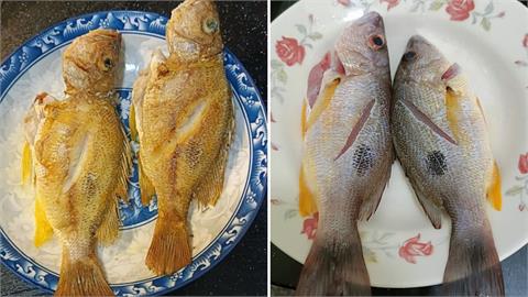 他發「金黃煎魚照」問這是什麼品種？精湛廚藝網歪樓反問：是用哪牌的鍋子啊？