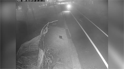 快新聞／花蓮步道變飆車場！　男子站立騎車炫技影片曝光