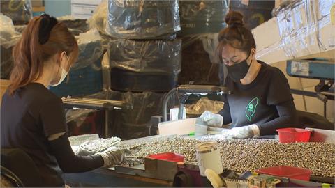 高雄螺絲銷往美國占9成產值523億　產業鏈品質佳